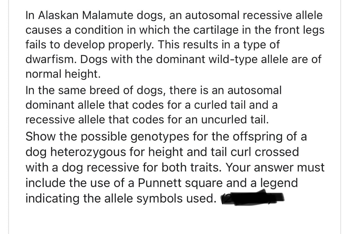 In Alaskan Malamute dogs, an autosomal recessive allele
causes a condition in which the cartilage in the front legs
fails to develop properly. This results in a type of
dwarfism. Dogs with the dominant wild-type allele are of
normal height.
In the same breed of dogs, there is an autosomal
dominant allele that codes for a curled tail and a
recessive allele that codes for an uncurled tail.
Show the possible genotypes for the offspring of a
dog heterozygous for height and tail curl crossed
with a dog recessive for both traits. Your answer must
include the use of a Punnett square and a legend
indicating the allele symbols used.