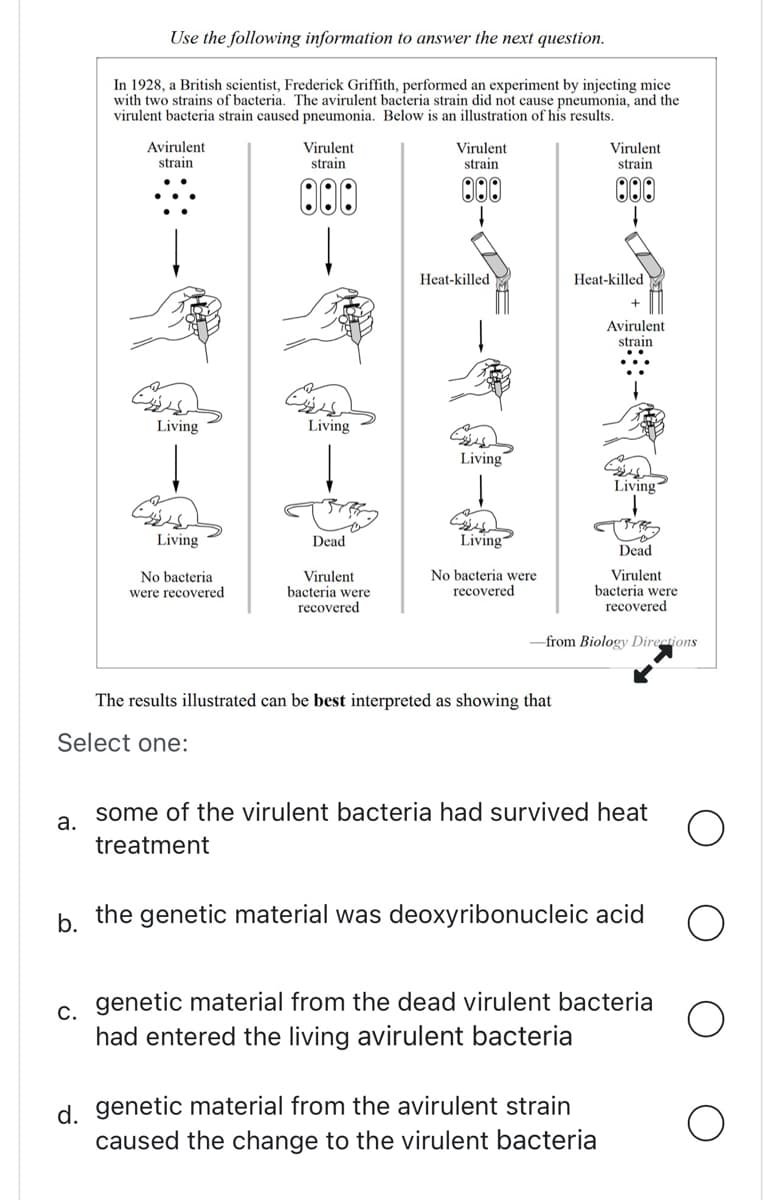 a.
Use the following information to answer the next question.
In 1928, a British scientist, Frederick Griffith, performed an experiment by injecting mice
with two strains of bacteria. The avirulent bacteria strain did not cause pneumonia, and the
virulent bacteria strain caused pneumonia. Below is an illustration of his results.
Avirulent
strain
C.
Living
us
Living
No bacteria
were recovered
Virulent
strain
000
Living
Dead
Virulent
bacteria were
recovered
Virulent
strain
000
Heat-killed
Living
Living"
No bacteria were
recovered
The results illustrated can be best interpreted as showing that
Select one:
Virulent
strain
000
Heat-killed
[x-d-p]]]
Avirulent
strain
Living
Dead
d. genetic material from the avirulent strain
caused the change to the virulent bacteria
Virulent
bacteria were
-from Biology Directions
recovered.
some of the virulent bacteria had survived heat
treatment
b.
the genetic material was deoxyribonucleic acid
genetic material from the dead virulent bacteria
had entered the living avirulent bacteria