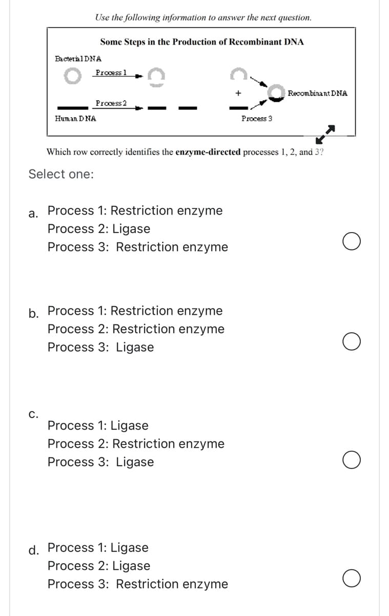 a.
Use the following information to answer the next question.
C.
Some Steps in the Production of Recombinant DNA
Bacterial DNA
Process 1
Process 2
Human DNA
Which row correctly identifies the enzyme-directed processes 1, 2, and 3?
Select one:
Process 1: Restriction enzyme
Process 2: Ligase
Process 3: Restriction enzyme
b. Process 1: Restriction enzyme
Process 2: Restriction enzyme
Process 3: Ligase
Process 1: Ligase
Process 2: Restriction enzyme
Process 3: Ligase
+
d. Process 1: Ligase
Process 2: Ligase
Process 3: Restriction enzyme
Process 3
Recombinant DNA