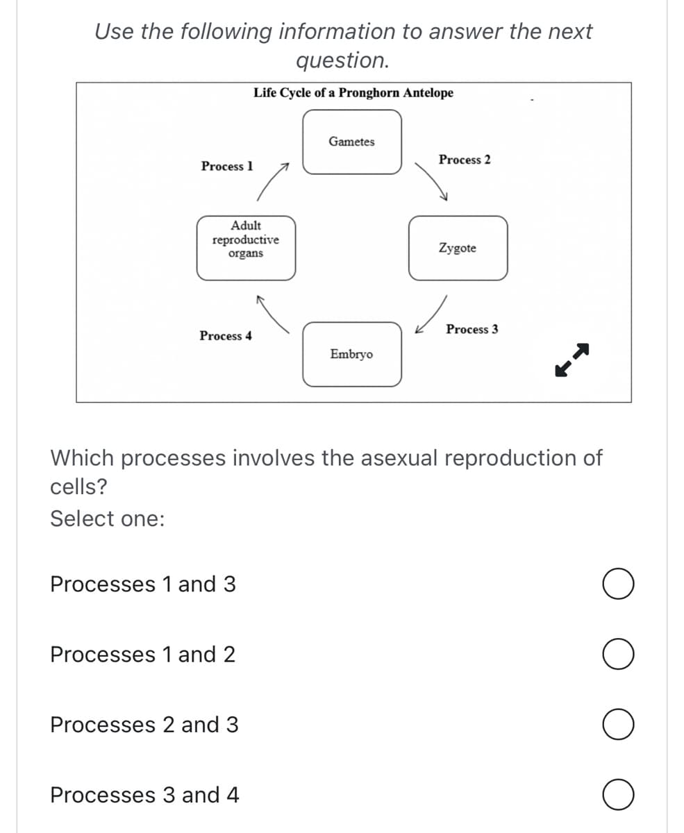 Use the following information to answer the next
question.
Life Cycle of a Pronghorn Antelope
Process 1
Adult
reproductive
organs
Process 4
Processes 1 and 3
Processes 1 and 2
Processes 2 and 3
Gametes
Processes 3 and 4
Embryo
Which processes involves the asexual reproduction of
cells?
Select one:
Process 2
Zygote
Process 3
O