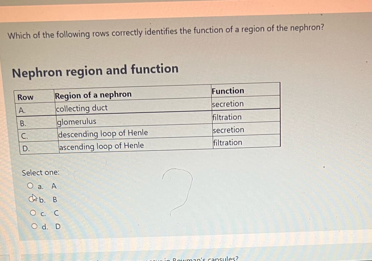 Which of the following rows correctly identifies the function of a region of the nephron?
Nephron region and function
Row
Region of a nephron
Function
A.
collecting duct
secretion
glomerulus
filtration
descending loop of Henle
secretion
ascending loop of Henle
filtration
Rowman's capsules?
B.
C.
D.
Select one:
O a. A
cb. B
O c. C
O d. D