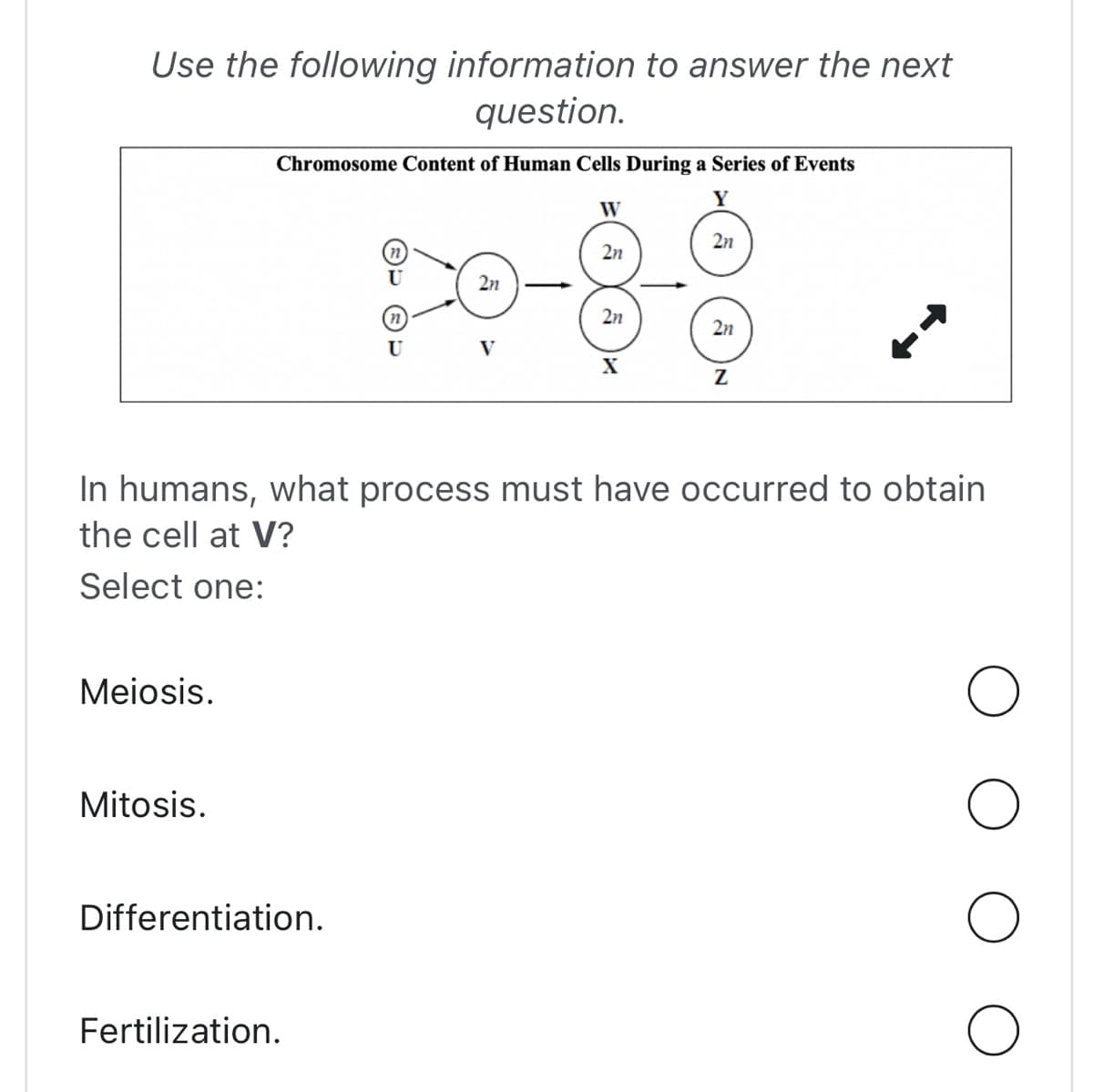 Use the following information to answer the next
question.
Meiosis.
Chromosome Content of Human Cells During a Series of Events
Y
Mitosis.
Differentiation.
(n)
U
Fertilization.
U
2n
V
W
2n
2n
X
In humans, what process must have occurred to obtain
the cell at V?
Select one:
2n
2n
Z