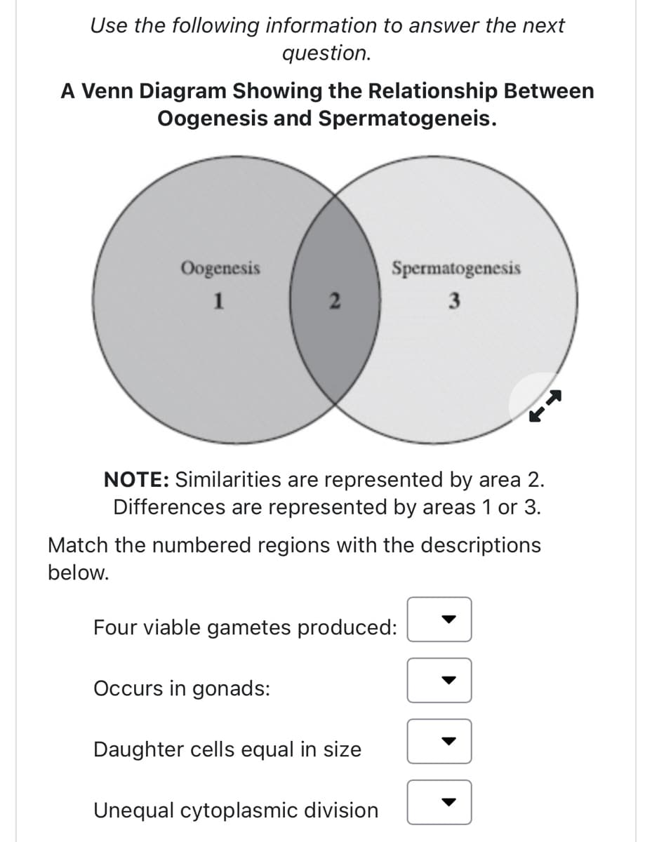 Use the following information to answer the next
question.
A Venn Diagram Showing the Relationship Between
Oogenesis and Spermatogeneis.
Oogenesis
1
NOTE: Similarities are represented by area 2.
Differences are represented by areas 1 or 3.
Match the numbered regions with the descriptions
below.
Spermatogenesis
3
Four viable gametes produced:
Occurs in gonads:
Daughter cells equal in size
Unequal cytoplasmic division
▶