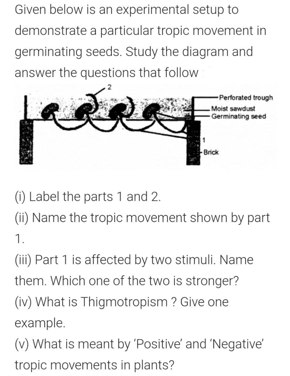 Given below is an experimental setup to
demonstrate a particular tropic movement in
germinating seeds. Study the diagram and
answer the questions that follow
Perforated trough
Moist sawdust
- Germinating seed
-Brick
(i) Label the parts 1 and 2.
(ii) Name the tropic movement shown by part
1.
(iii) Part 1 is affected by two stimuli. Name
them. Which one of the two is stronger?
(iv) What is Thigmotropism ? Give one
example.
(v) What is meant by 'Positive' and 'Negative'
tropic movements in plants?

