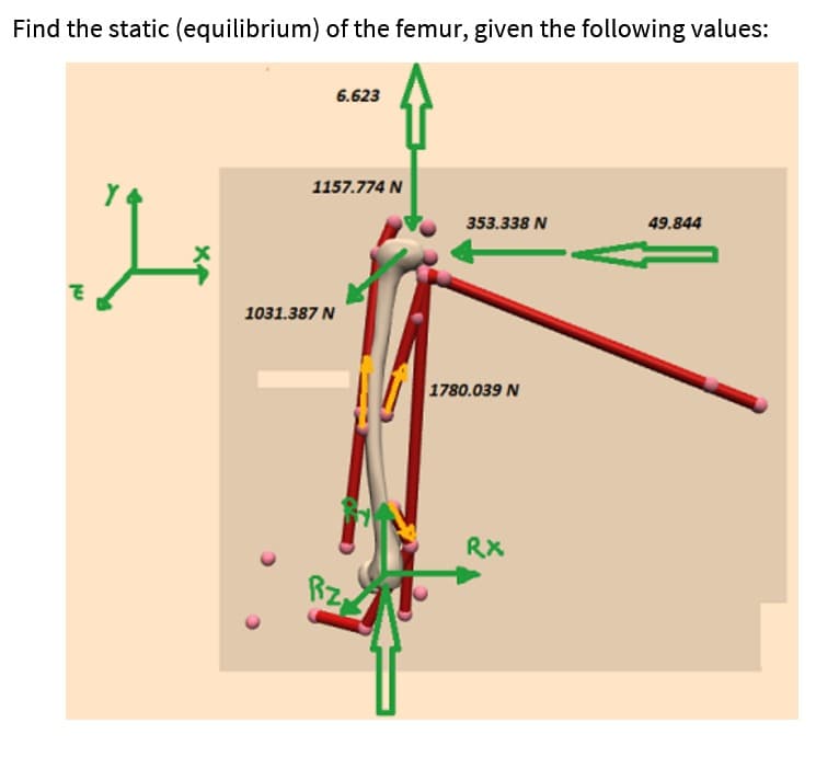 Find the static (equilibrium) of the femur, given the following values:
6.623
1157.774 N
353.338 N
49.844
1031.387 N
1780.039 N
RX
