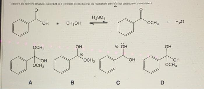 Which of the following structures would not be a legitmate intermediate for the mechanism of the ischer esteritication shown below?
H2SO4
CH,OH
OCH3
H20
OCH3
он
он
он
OH
OCH3
OH
OCH3
ÓCH3
A
C
D
