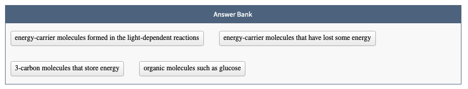 Answer Bank
energy-carrier molecules formed in the light-dependent reactions
energy-carrier molecules that have lost some energy
3-carbon molecules that store energy
organic molecules such as glucose
