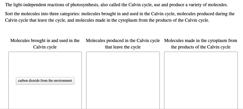 The light-independent reactions of photosynthesis, also called the Calvin cycle, use and produce a variety of molecules.
Sort the molecules into three categories: molecules brought in and used in the Calvin cycle, molecules produced during the
Calvin cycle that leave the cycle, and molecules made in the cytoplasm from the products of the Calvin cycle.
Molecules brought in and used in the Molecules produced in the Calvin cycle Molecules made in the cytoplasm from
that leave the cycle
Calvin cycle
the products of the Calvin cycle
carbon dioxide from the environment
