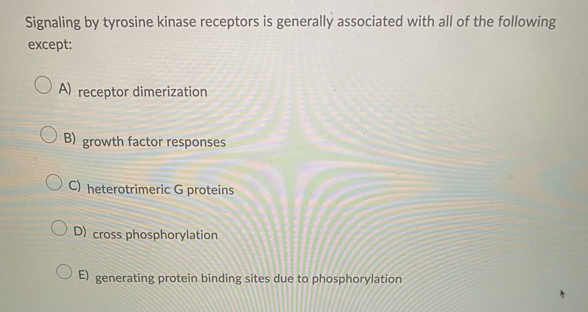 Signaling by tyrosine kinase receptors is generally associated with all of the following
except:
OA) receptor dimerization
B) growth factor responses
C) heterotrimeric G proteins
OD) cross phosphorylation
E) generating protein binding sites due to phosphorylation