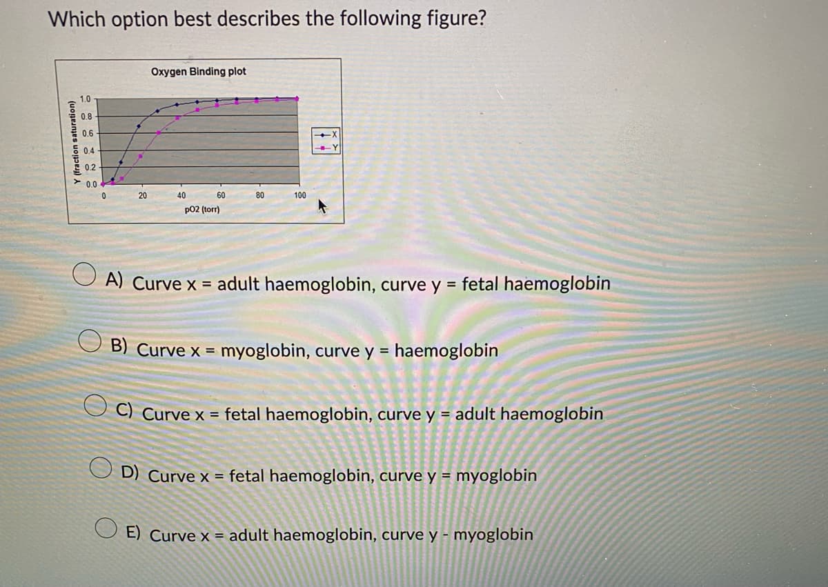 Which option best describes the following figure?
Y (fraction saturation)
1.0
0.8
0.6
0.4
0.2
0.0
0
20
Oxygen Binding plot
40
60
p02 (torr)
80
100
A) Curve x = adult haemoglobin, curve y = fetal haemoglobin
B) Curve x = myoglobin, curve y = haemoglobin
C) Curve x = fetal haemoglobin, curve y = adult haemoglobin
D) Curve x = fetal haemoglobin, curve y = myoglobin
E) Curve x = adult haemoglobin, curve y - myoglobin