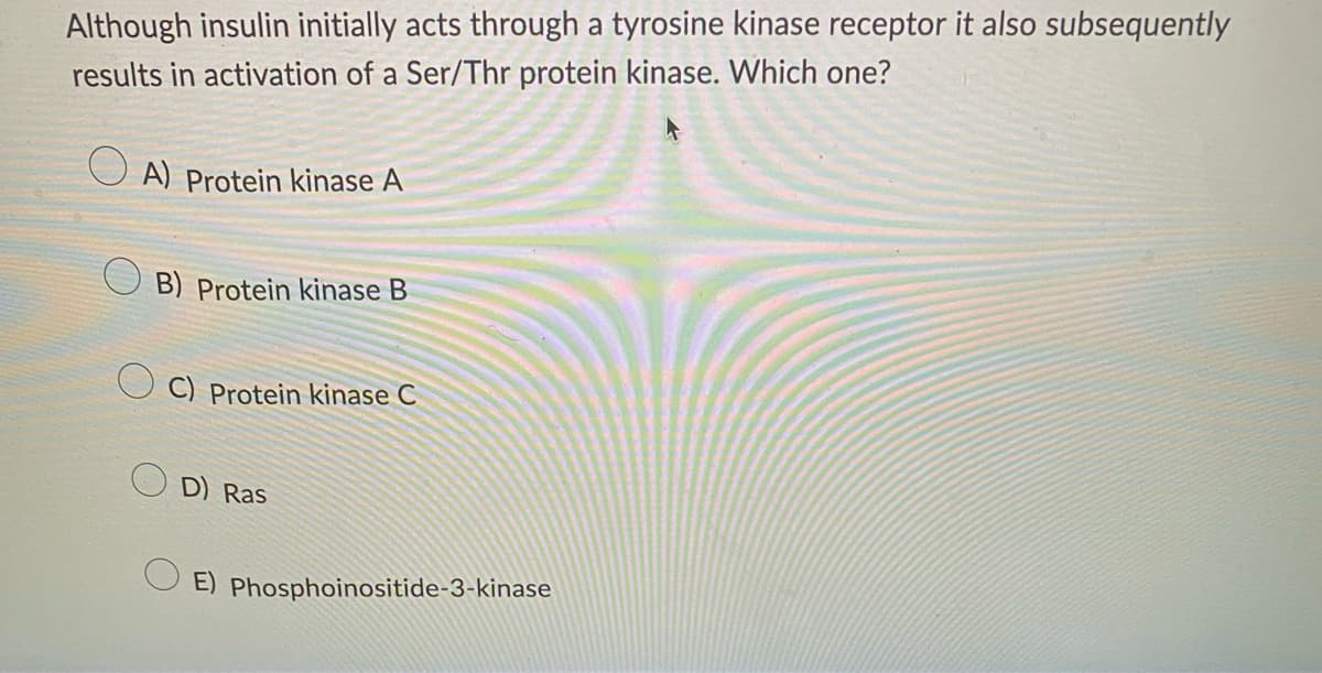Although insulin initially acts through a tyrosine kinase receptor it also subsequently
results in activation of a Ser/Thr protein kinase. Which one?
A) Protein kinase A
B) Protein kinase B
C) Protein kinase C
D) Ras
E) Phosphoinositide-3-kinase