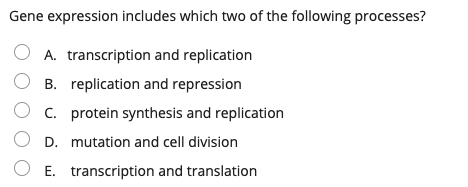Gene expression includes which two of the following processes?
O A. transcription and replication
O B. replication and repression
O c. protein synthesis and replication
O D. mutation and cell division
O E. transcription and translation

