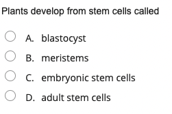 Plants develop from stem cells called
O A. blastocyst
B. meristems
C. embryonic stem cells
D. adult stem cells

