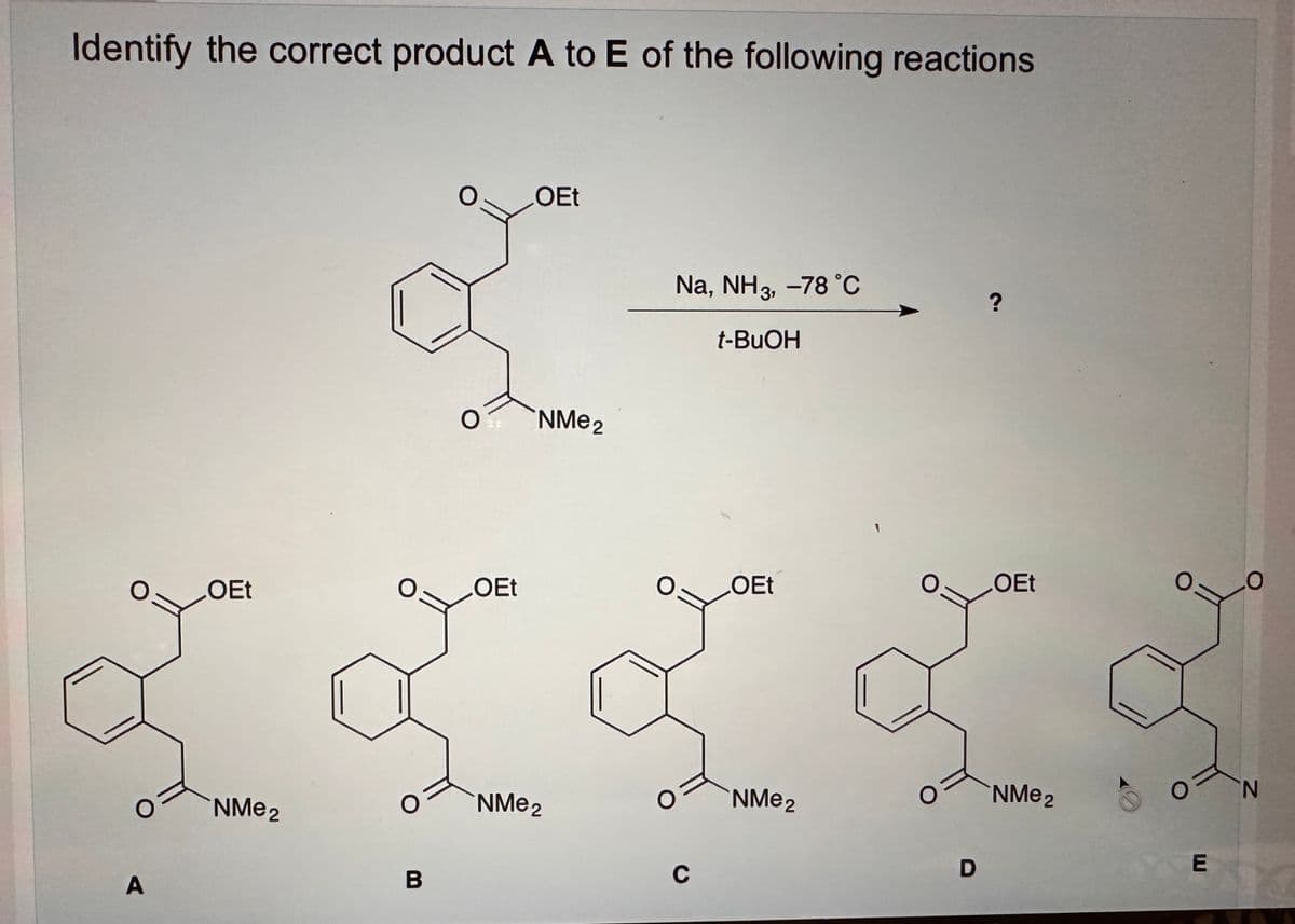 Identify the correct product A to E of the following reactions
O=
O
A
LOEt
NMe 2
B
O.
O
OEt
OEt
NMe 2
NMe 2
Na, NH3, -78 °C
t-BuOH
0:
C
OEt
NMe 2
D
?
OEt
NMe ₂
0:
0:
E
N