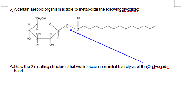 5)A certain aerobic organism is able to metabolize the followingglycolipid
CH,OH
H
H
OH
H
HO
OH
A.Draw the 2 resulting structures that would occur upon initial hydrolysis of the O-glycosidic
bond.
