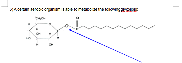 5)A certain aerobic organism is able to metabolize the followingglycolipid
CH,OH
H
H
OH
HO
OH
