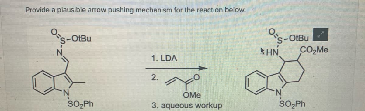 Provide a plausible arrow pushing mechanism for the reaction below.
Os-OtBu
's-OtBu
HN
1. LDA
2.
OMe
SO,Ph
3. aqueous workup

