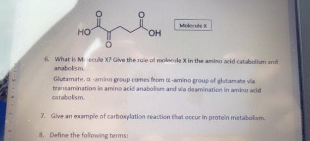 Molecule X
HO
HO
6. What is Mclecule X? Give the role of molecule X in the amino acid catabolism and
anabolism.
Glutamate. a-amino group comes from a-amino group of glutamate via
transamination in amino acid anabolism and via deamination in amino acid
catabolism.
7. Give an example of carboxylation reaction that occur in protein metabolism.
8. Define the following terms:
