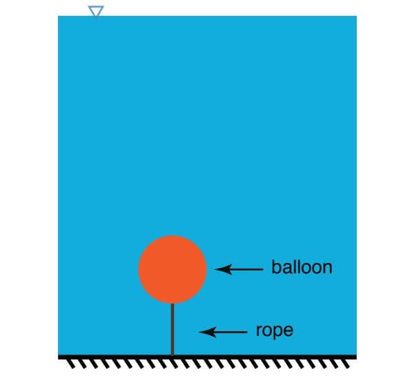 balloon
- rope
