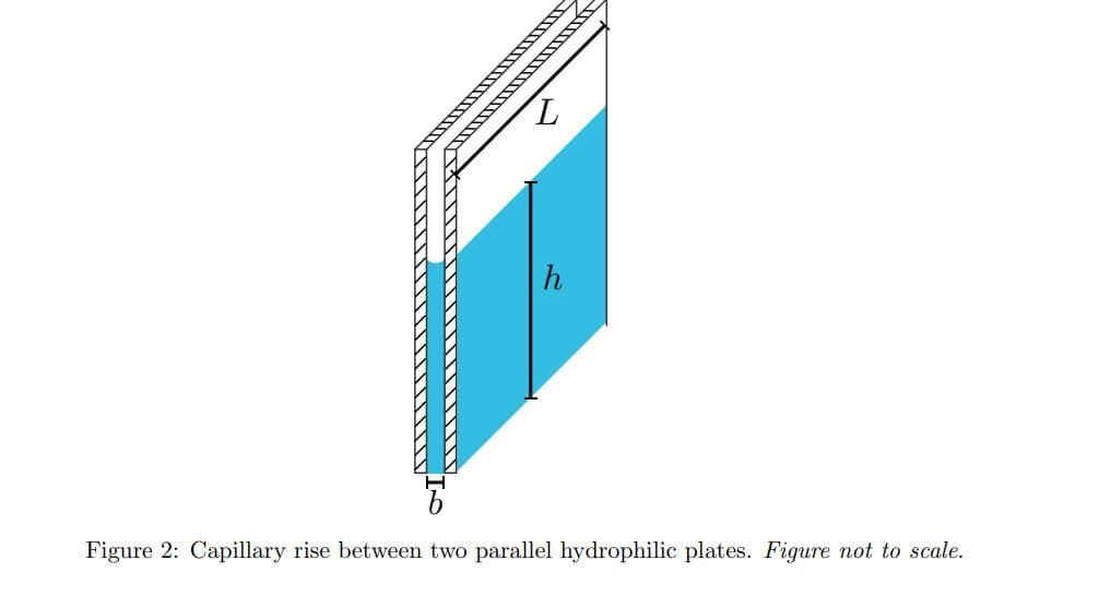 h
Figure 2: Capillary rise between two parallel hydrophilic plates. Figure not to scale.
