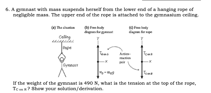 6. A gymnast with mass suspends herself from the lower end of a hanging rope of
negligible mass. The upper end of the rope is attached to the gymnasium ceiling.
(a) The situation
(b) Free-body
diagram for gymnast
(C) Free-body
diagram for rope
Celing
Rope
Teens
Action-
reaction
TconR
pair
Gyranast
TsonR
If the weight of the gymnast is 490 N, what is the tension at the top of the rope,
Tc on R? Show your solution/derivation.
