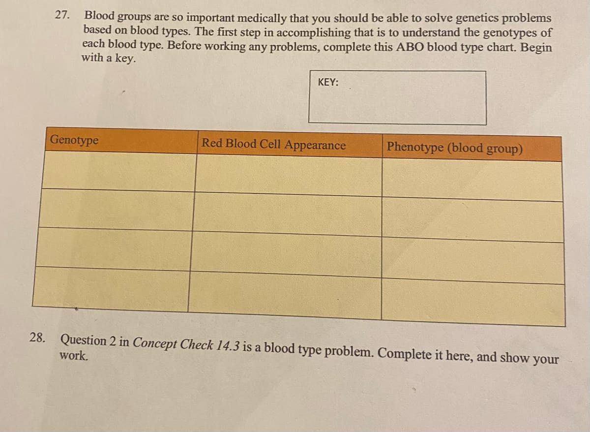 groups are so important medically that you should be able to solve genetics problems
based on blood types. The first step in accomplishing that is to understand the genotypes of
each blood type. Before working any problems, complete this ABO blood type chart. Begin
with a key.
27.
Blood
KEY:
Genotype
Red Blood Cell Appearance
Phenotype (blood group)
28. Question 2 in Concept Check 14.3 is a blood type problem. Complete it here, and show your
work.

