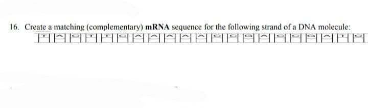 16. Create a matching (complementary) mRNA sequence for the following strand of a DNA molecule:
||| ||| |_|
|
| |_| |_|