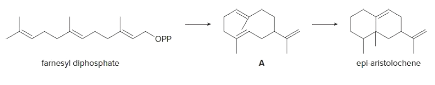 OPP
farnesyl diphosphate
epl-aristolochene
