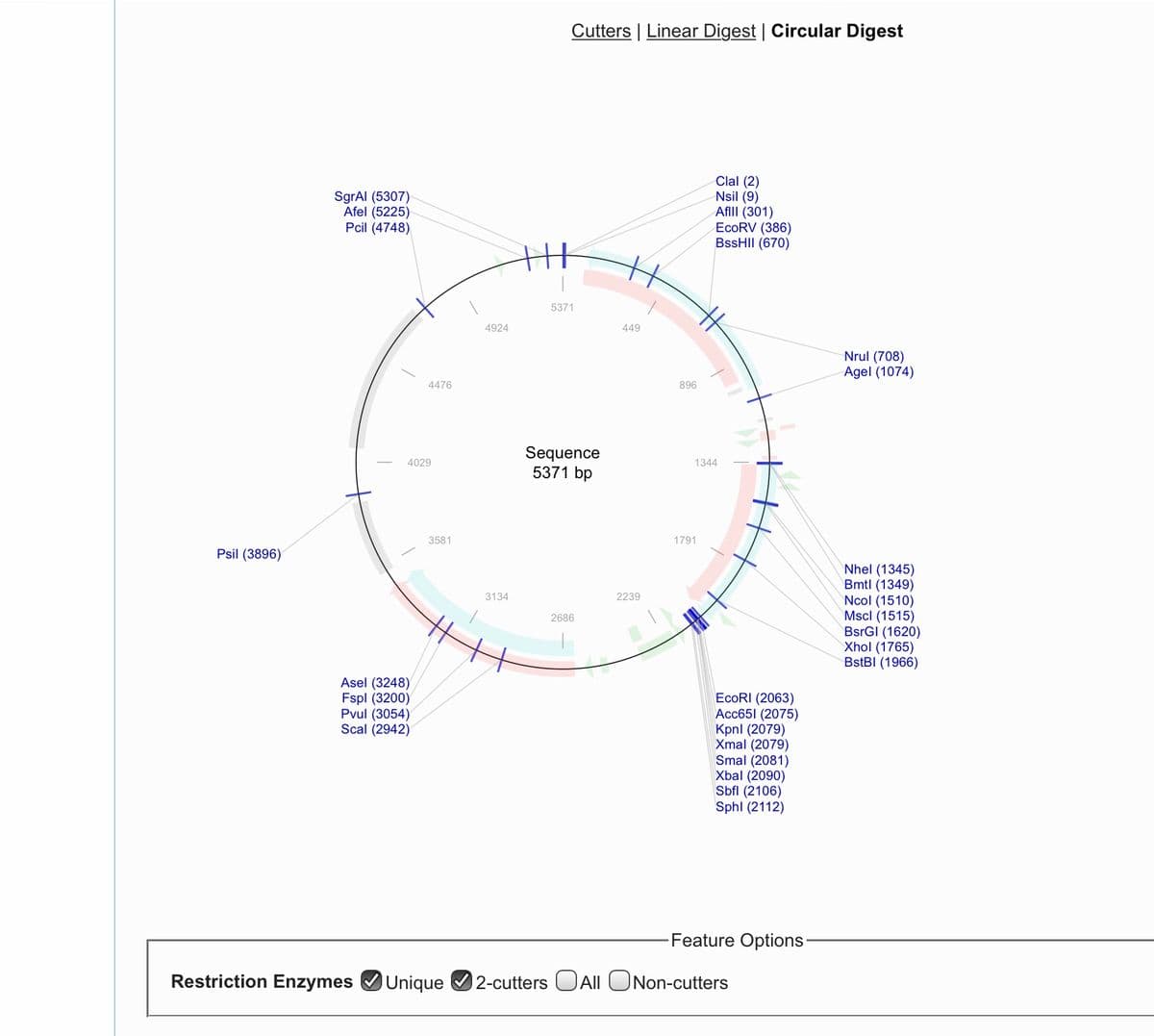 Cutters | Linear Digest | Circular Digest
SgrAl (5307)
Afel (5225)
Pcil (4748)
Clal (2)
Nsil (9)
Afll (301)
EcoRV (386)
BssHII (670)
4924
449
Nrul (708)
Agel (1074)
4476
896
Sequence
5371 bp
4029
1344
3581
1791
Psil (3896)
Nhel (1345)
Bmtl (1349)
Ncol (1510)
Mscl (1515)
BsrGI (1620)
Xhol (1765)
BstBI (1966)
3134
2239
2686
Asel (3248)
Fspl (3200)
Pvul (3054)
Scal (2942)
EcoRI (2063)
Acc651 (2075)
Kpnl (2079)
Xmal (2079)
Smal (2081)
Xbal (2090)
Sbfl (2106)
Sphl (2112)
Feature Options-
Restriction Enzymes VUnique V2-cutters OAII ONon-cutters
