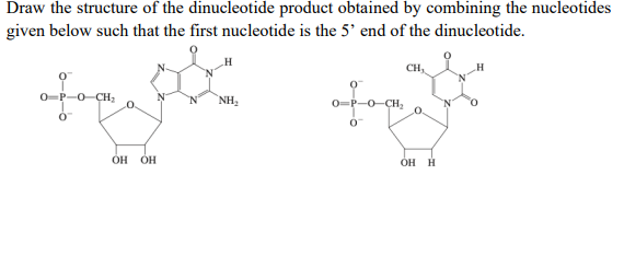 Draw the structure of the dinucleotide product obtained by combining the nucleotides
given below such that the first nucleotide is the 5' end of the dinucleotide.
CH,
0-P-O-ÇH;
`NH2
0-CH,
ÓH ÓH
OH H
