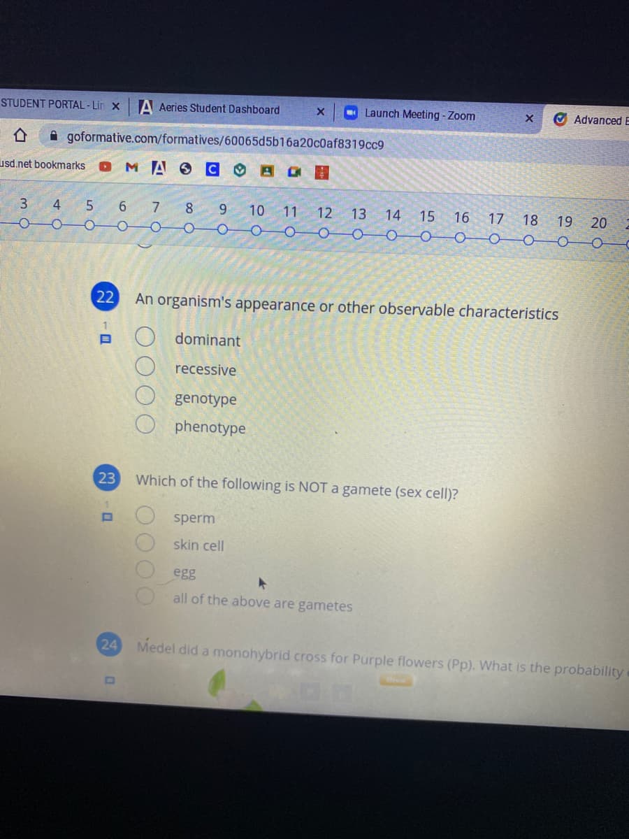 STUDENT PORTAL -Lin x A Aeries Student Dashboard
Launch Meeting- Zoom
O AdvancedE
A goformative.com/formatives/60065d5b16a20c0af8319cc9
usd.net bookmarks
MA C O
3 4 5 6 7
8
9
10
11
12
13
14
15
16
17
18
19 20
0-00 0-0–O-
22
An organism's appearance or other observable characteristics
dominant
recessive
genotype
phenotype
23
Which of the following is NOT a gamete (sex cell)?
sperm
skin cell
egg
all of the above are gametes
24 Medel did a monohybrid cross for Purple flowers (Pp). What is the probability
