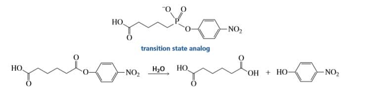 НО.
-NO2
transition state analog
НО.
-NO2
H20 HO
OH + HO-
- NO2
