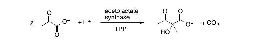 ² fo
2
+H+
acetolactate
synthase
TPP
s
HO
O-
CO₂