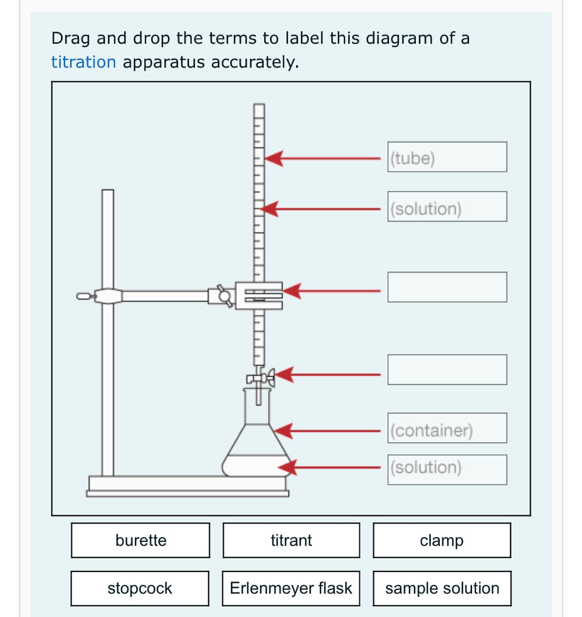 Drag and drop the terms to label this diagram of a
titration apparatus accurately.
burette
stopcock
●NAAAAIANNI
titrant
Erlenmeyer flask
(tube)
(solution)
11
(container)
(solution)
clamp
sample solution