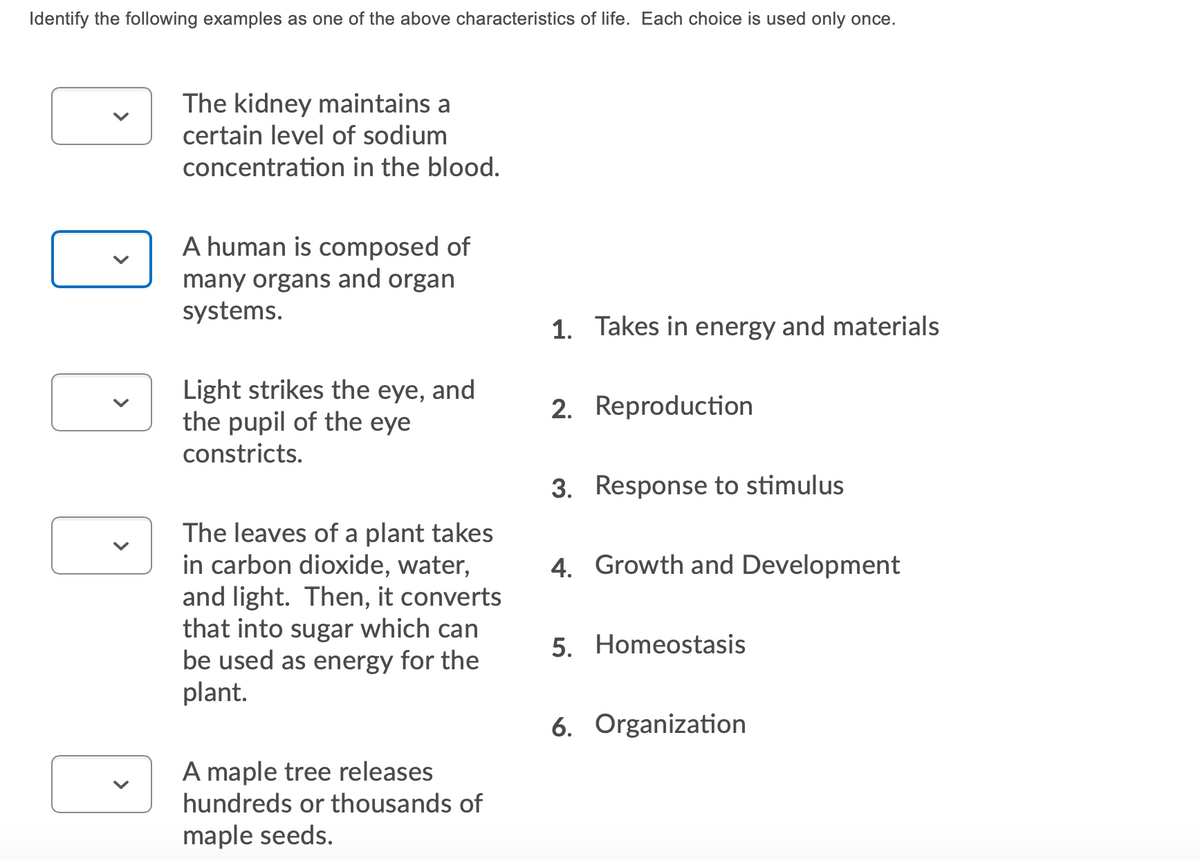 Identify the following examples as one of the above characteristics of life. Each choice is used only once.
The kidney maintains a
certain level of sodium
concentration in the blood.
A human is composed of
many organs and organ
systems.
1. Takes in energy and materials
Light strikes the eye,
the pupil of the eye
constricts.
and
2. Reproduction
3. Response to stimulus
The leaves of a plant takes
in carbon dioxide, water,
and light. Then, it converts
that into sugar which can
be used as energy for the
plant.
4. Growth and Development
5. Homeostasis
6. Organization
A maple tree releases
hundreds or thousands of
maple seeds.
