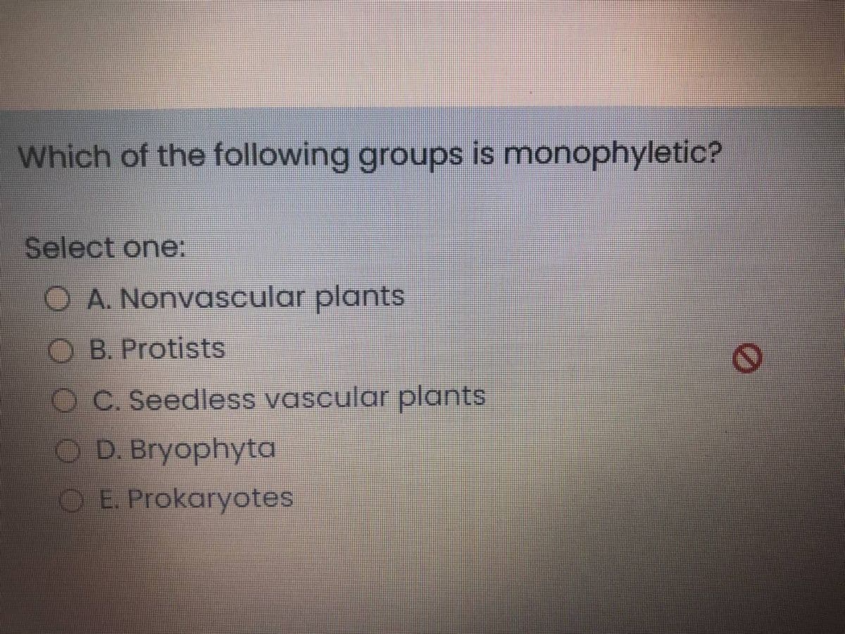Which of the following groups is monophyletic?
Select one:
OA Nonvascular plants
O B. Protists
OC. Seedless vascular plants
O D. Bryophyta
OE. Prokaryotes
