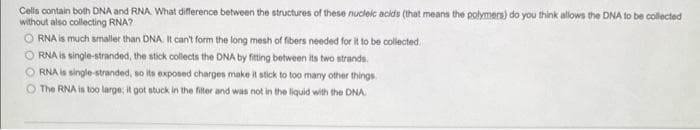 Cells contain both DNA and RNA. What difference between the structures of these nucleic acids (that means the polymers) do you think allows the DNA to be collected
without also collecting RNA?
ORNA is much smaller than DNA. It can't form the long mesh of fibers needed for it to be collected.
ORNA is single-stranded, the stick collects the DNA by fitting between its two strands.
O RNA is single-stranded, so its exposed charges make it stick to too many other things.
The RNA is too large; it got stuck in the filter and was not in the liquid with the DNA