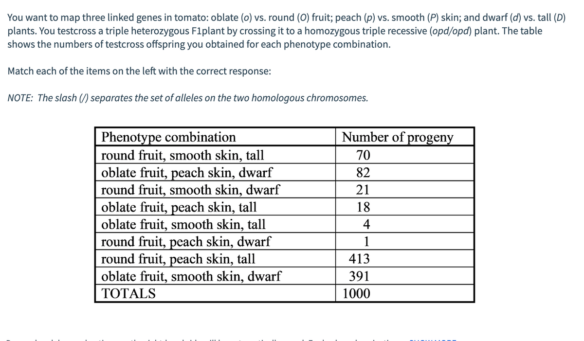You want to map three linked genes in tomato: oblate (o) vs. round (O) fruit; peach (p) vs. smooth (P) skin; and dwarf (d) vs. tall (D)
plants. You testcross a triple heterozygous F1plant by crossing it to a homozygous triple recessive (opd/opd) plant. The table
shows the numbers of testcross offspring you obtained for each phenotype combination.
Match each of the items on the left with the correct response:
NOTE: The slash (/) separates the set of alleles on the two homologous chromosomes.
Phenotype combination
round fruit, smooth skin, tall
oblate fruit, peach skin, dwarf
round fruit, smooth skin, dwarf
oblate fruit, peach skin, tall
oblate fruit, smooth skin, tall
round fruit, peach skin, dwarf
round fruit, peach skin, tall
oblate fruit, smooth skin, dwarf
TOTALS
Number of progeny
70
82
21
18
4
1
413
391
1000