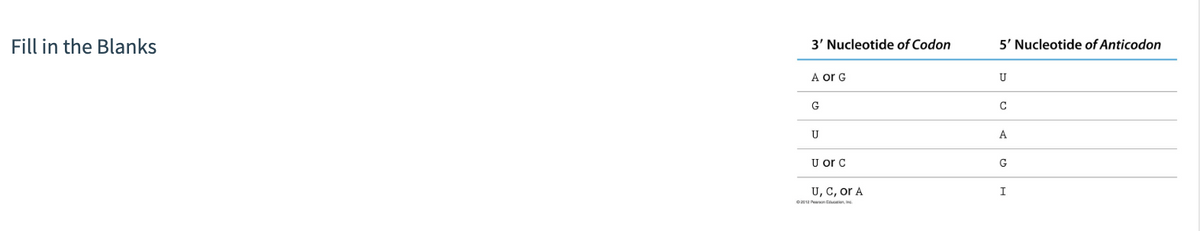 Fill in the Blanks
3' Nucleotide of Codon
A or G
G
U
U or C
U, C, or A
©2012 Pearson Education, Inc.
5' Nucleotide of Anticodon
U
C
A
G
I