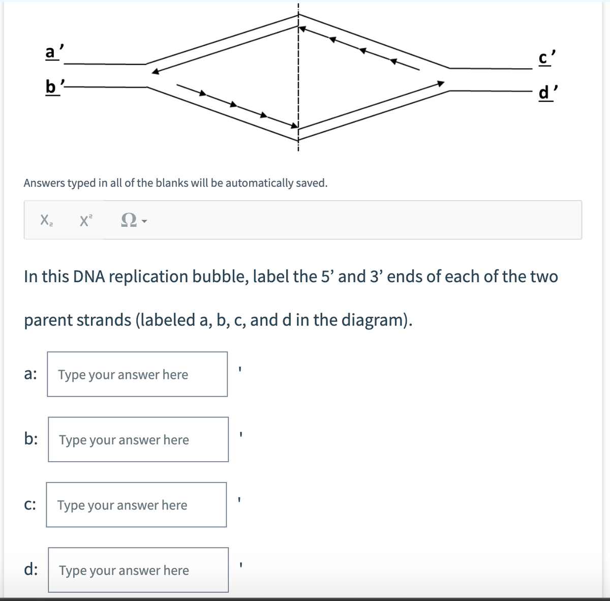 Answers typed in all of the blanks will be automatically saved.
a:
b:
a'
b'
C:
In this DNA replication bubble, label the 5' and 3' ends of each of the two
parent strands (labeled a, b, c, and d in the diagram).
d:
X₂ X² Ω·
Type your answer here
Type your answer here
Type your answer here
u
Type your answer here
d'