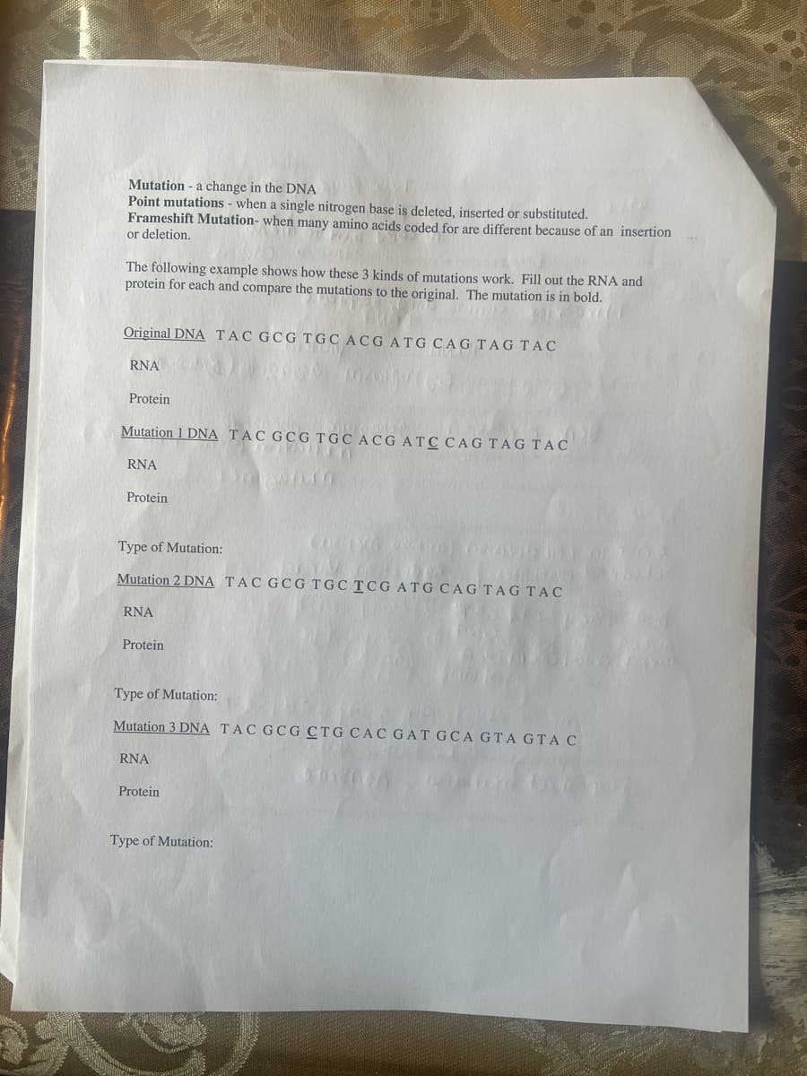 Mutation a change in the DNA
Point mutations - when a single nitrogen base is deleted, inserted or substituted.
Frameshift Mutation- when many amino acids coded for are different because of an insertion
or deletion.
The following example shows how these 3 kinds of mutations work. Fill out the RNA and
protein for each and compare the mutations to the original. The mutation is in bold.
Original DNA TAC GCG TGC ACG ATG CAG TAG TAC
RNA
Protein
Mutation 1 DNA TAC GCG TGC ACG ATC CAG TAG TAC
RNA
Protein
20.10
Type of Mutation:
Mutation 2 DNA TAC GCG TGC TCG ATG CAG TAG TAC
RNA
Protein
Type of Mutation:
Mutation 3 DNA TAC GCG CTG CAC GAT GCA GTA GTA C
RNA
Protein
Type of Mutation: