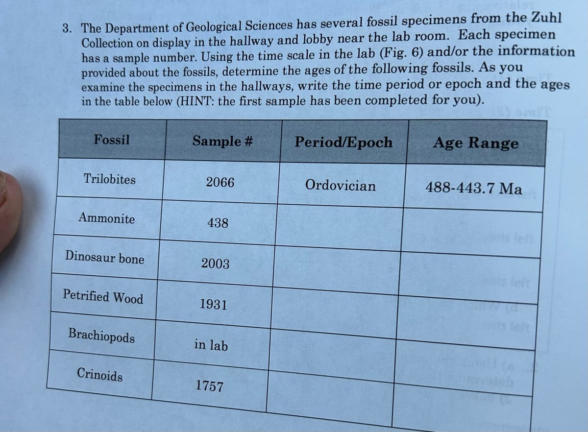 3. The Department of Geological Sciences has several fossil specimens from the Zuhl
Collection on display in the hallway and lobby near the lab room. Each specimen
has a sample number. Using the time scale in the lab (Fig. 6) and/or the information
provided about the fossils, determine the ages of the following fossils. As you
examine the specimens in the hallways, write the time period or epoch and the ages
in the table below (HINT: the first sample has been completed for you).
Fossil
Trilobites
Ammonite
Dinosaur bone
Petrified Wood
Brachiopods
Crinoids
Sample #
2066
438
2003
1931
in lab
1757
Period/Epoch
Ordovician
Age Range
488-443.7 Ma