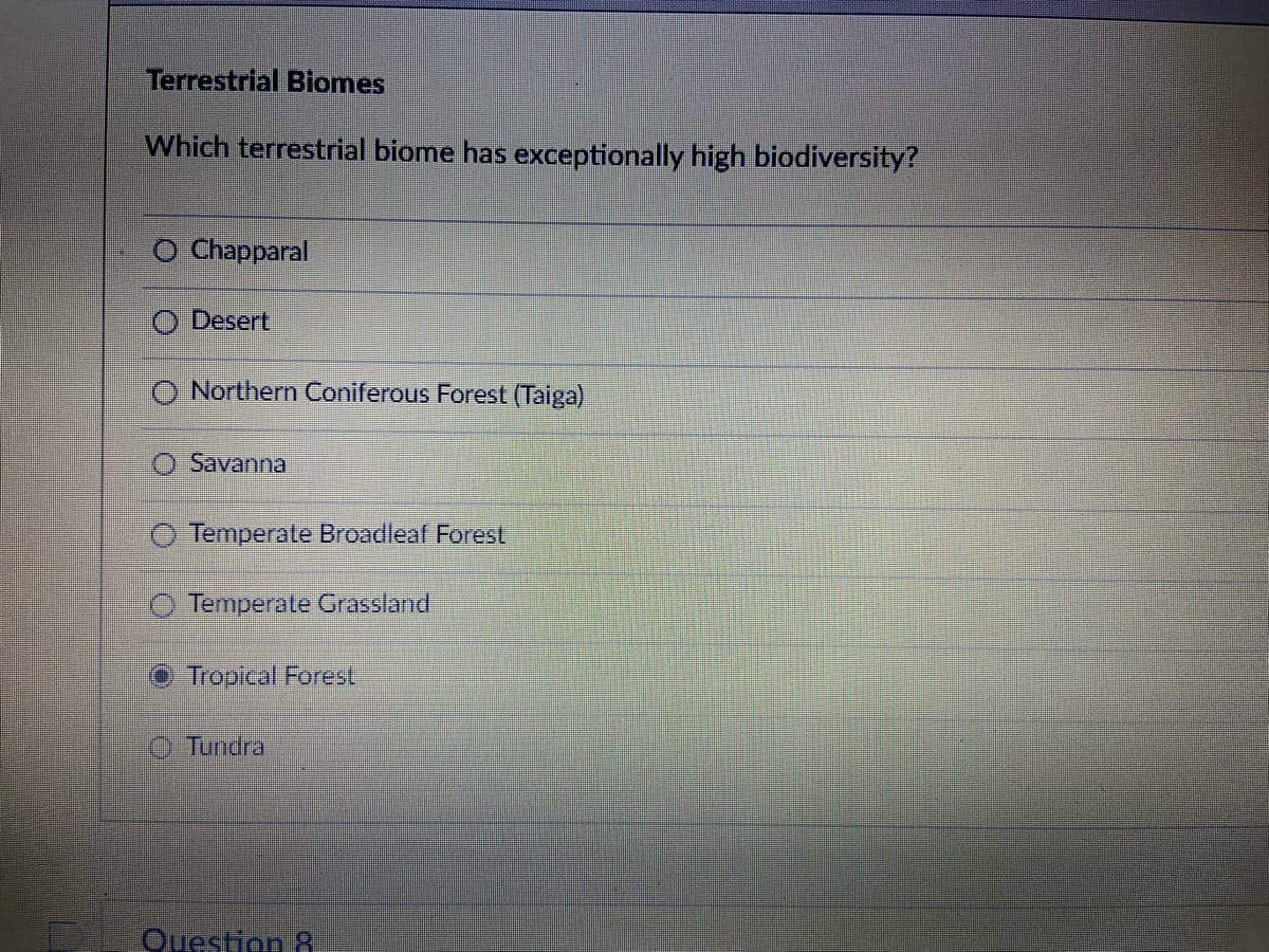 Terrestrial Biomes
Which terrestrial biome has exceptionally high biodiversity?
O Chapparal
Desert
O Northern Coniferous Forest (Taiga)
Savanna
O Temperate Broadleaf Forest
Temperate Grassland
O Tropical Forest
Tundra
Question 8.