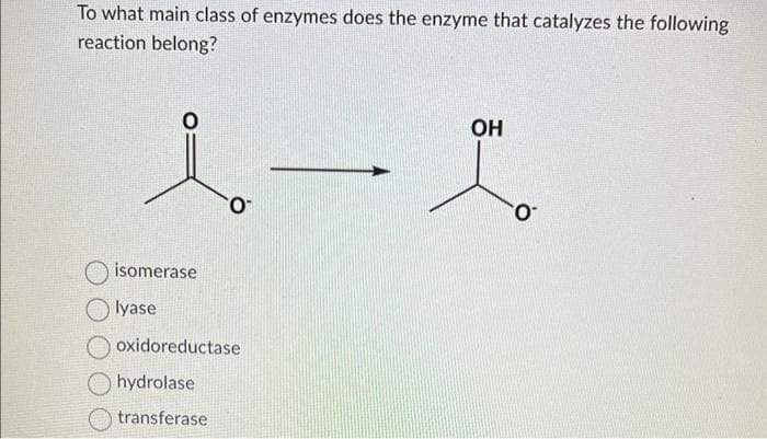 To what main class of enzymes does the enzyme that catalyzes the following
reaction belong?
1-
isomerase
lyase
oxidoreductase
hydrolase
transferase
OH
O™