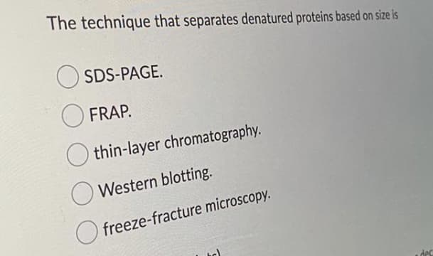 The technique that separates denatured proteins based on size is
SDS-PAGE.
FRAP.
O thin-layer chromatography.
O Western blotting.
O freeze-fracture microscopy.
