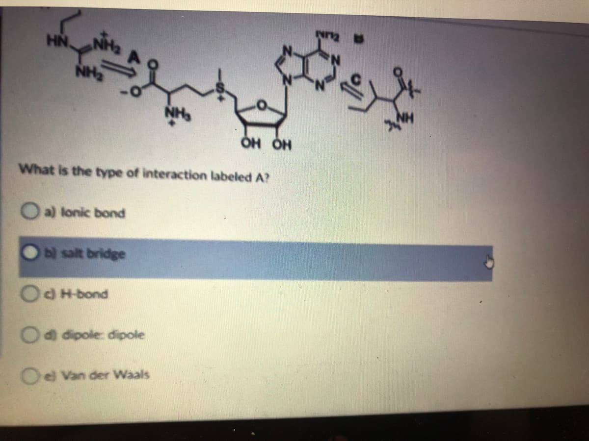 HN
NH2
OH OH
What is the type of interaction labeled A?
O a) lonic bond
bị salt bridge
OOHbond
Oa dipole: dipole
Oe Van der Waals
