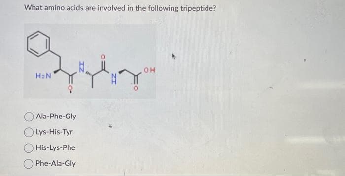 What amino acids are involved in the following tripeptide?
Quir
H₂N
Ala-Phe-Gly
Lys-His-Tyr
His-Lys-Phe
Phe-Ala-Gly
OH