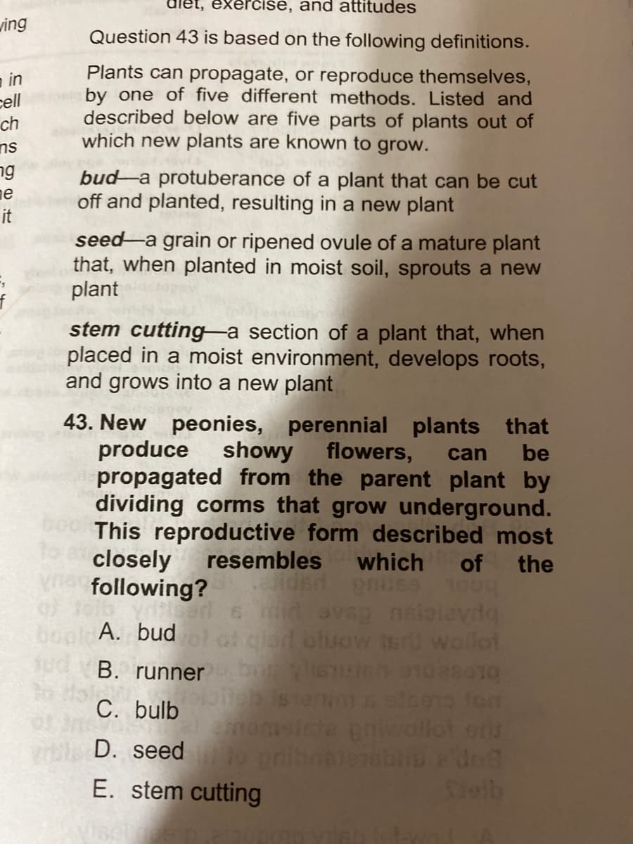 xercise, and attitudes
ving
Question 43 is based on the following definitions.
a in
cell
ch
ns
ng
ne
it
Plants can propagate, or reproduce themselves,
by one of five different methods. Listed and
described below are five parts of plants out of
which new plants are known to grow.
bud a protuberance of a plant that can be cut
off and planted, resulting in a new plant
seed a grain or ripened ovule of a mature plant
that, when planted in moist soil, sprouts a new
plant
stem cutting a section of a plant that, when
placed in a moist environment, develops roots,
and grows into a new plant
43. New peonies, perennial plants that
produce
propagated from the parent plant by
dividing corms that grow underground.
This reproductive form described most
1o closely
following?
showy
flowers,
can
be
resembles which of the
d avsg nekaleyda
d ofuow ter wollot
A. bud
B. runner
C. bulb
te onivollot ors
D. seed onibnelereb do
E. stem cutting
lalb
