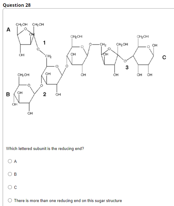 Question 28
CHOH CHOH
A
CHOH
CHOH
1
CH2
CHOH
OH
OH
OH
CH
3
CHOH
OH
OH
он
CH
он
он
B
2
OH
CH
Which lettered subunit is the reducing end?
O A
В
There is more than one reducing end on this sugar structure
