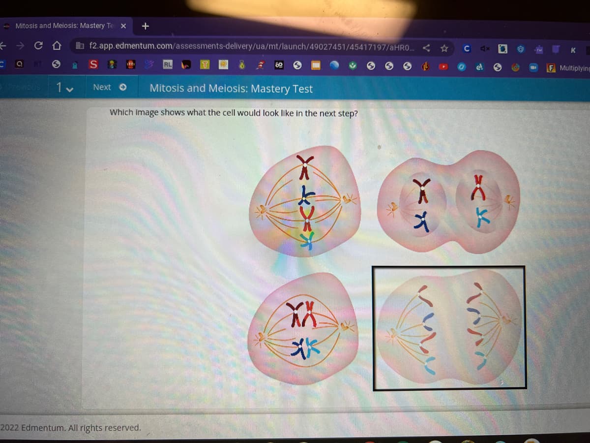Mitosis and Meiosis: Mastery Te X
不
b f2.app.edmentum.com/assessments-delivery/ua/mt/launch/49027451/45417197/AHRO..
S
F Multiplying
Next O
Mitosis and Meiosis: Mastery Test
Which Image shows what the cell would look like in the next step?
2022 Edmentum. All rights reserved.

